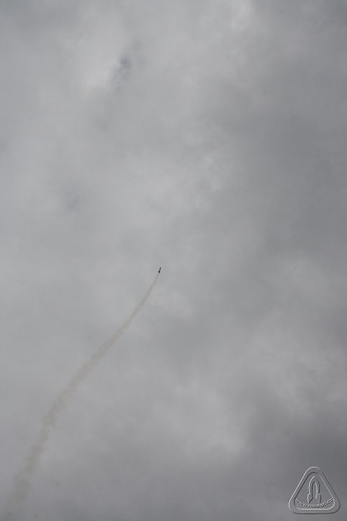 2013 Svojek Mirek Topinka